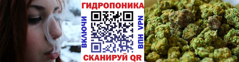 Купить закладку Cocaine  Alpha PVP  ГАШ  МАРИХУАНА  МЕФ  Северск