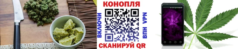 Cannafood конопля  Купить где  Северск 