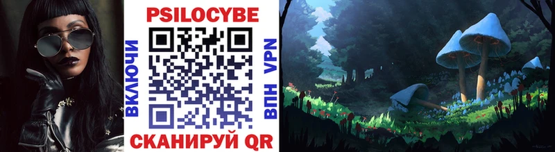 Псилоцибиновые грибы GOLDEN TEACHER  Купить закладки  Северск